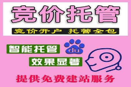 抖音信息流广告代理的五大成功投放案例